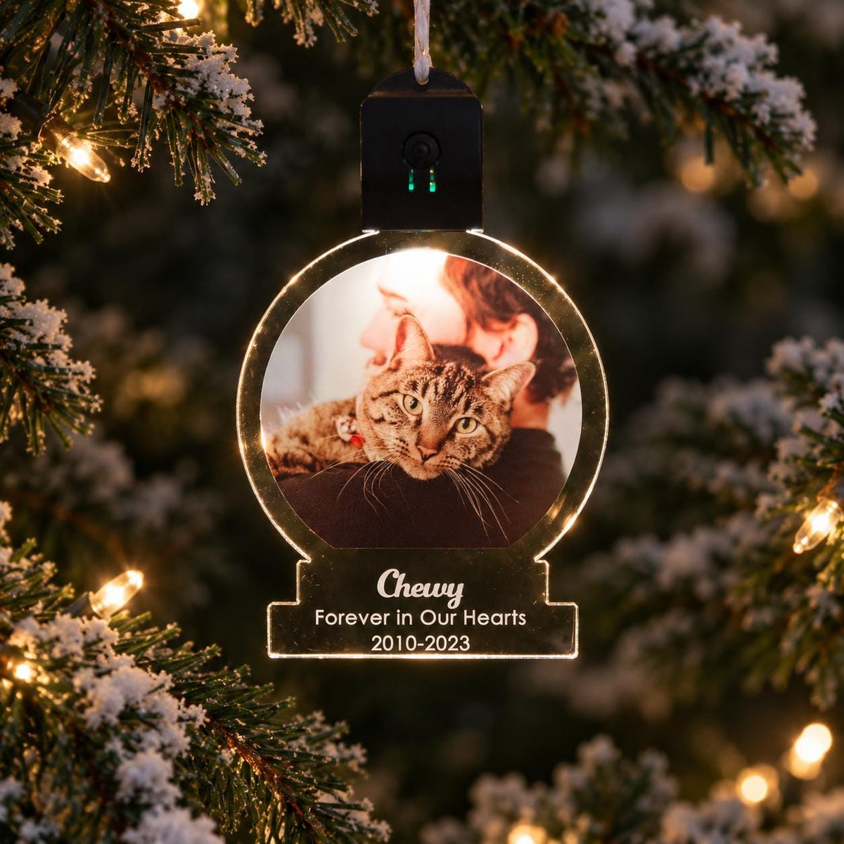 Custom Photo Snow Globe Ornament, LED Color Changing Christmas Ornament, Personalized Holiday Keepsake