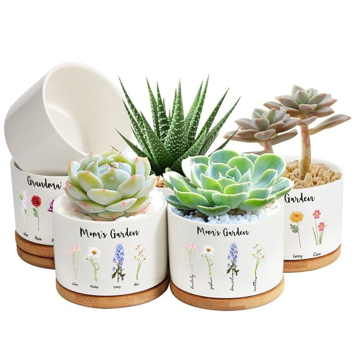 Custom Birth Month Flower Plant Pot, Personalized Mom Garden Planter, Mother’s Day Gift — photo 2