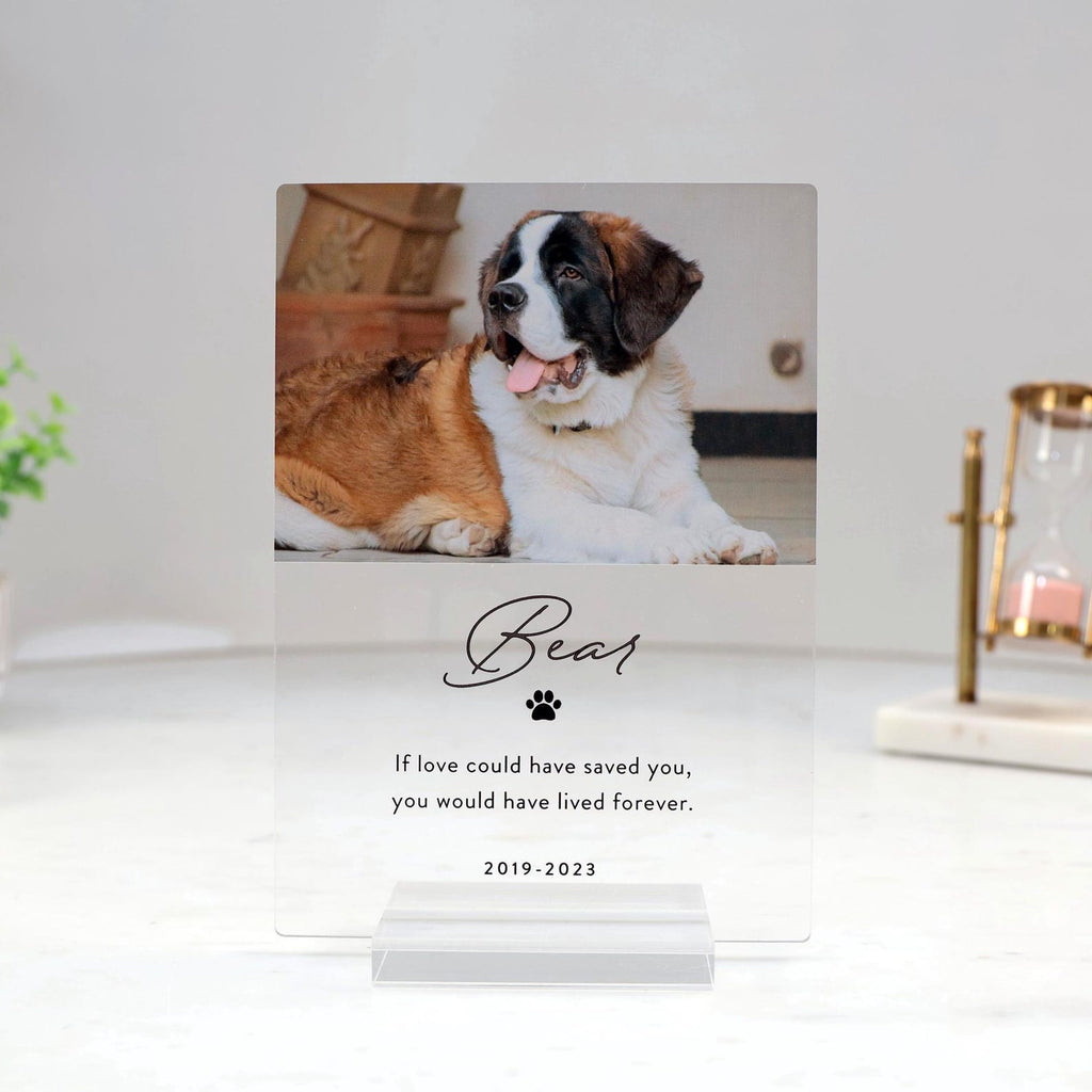 Personalized Pet Memorial Photo Plaque, Large Photo Tribute — photo 4