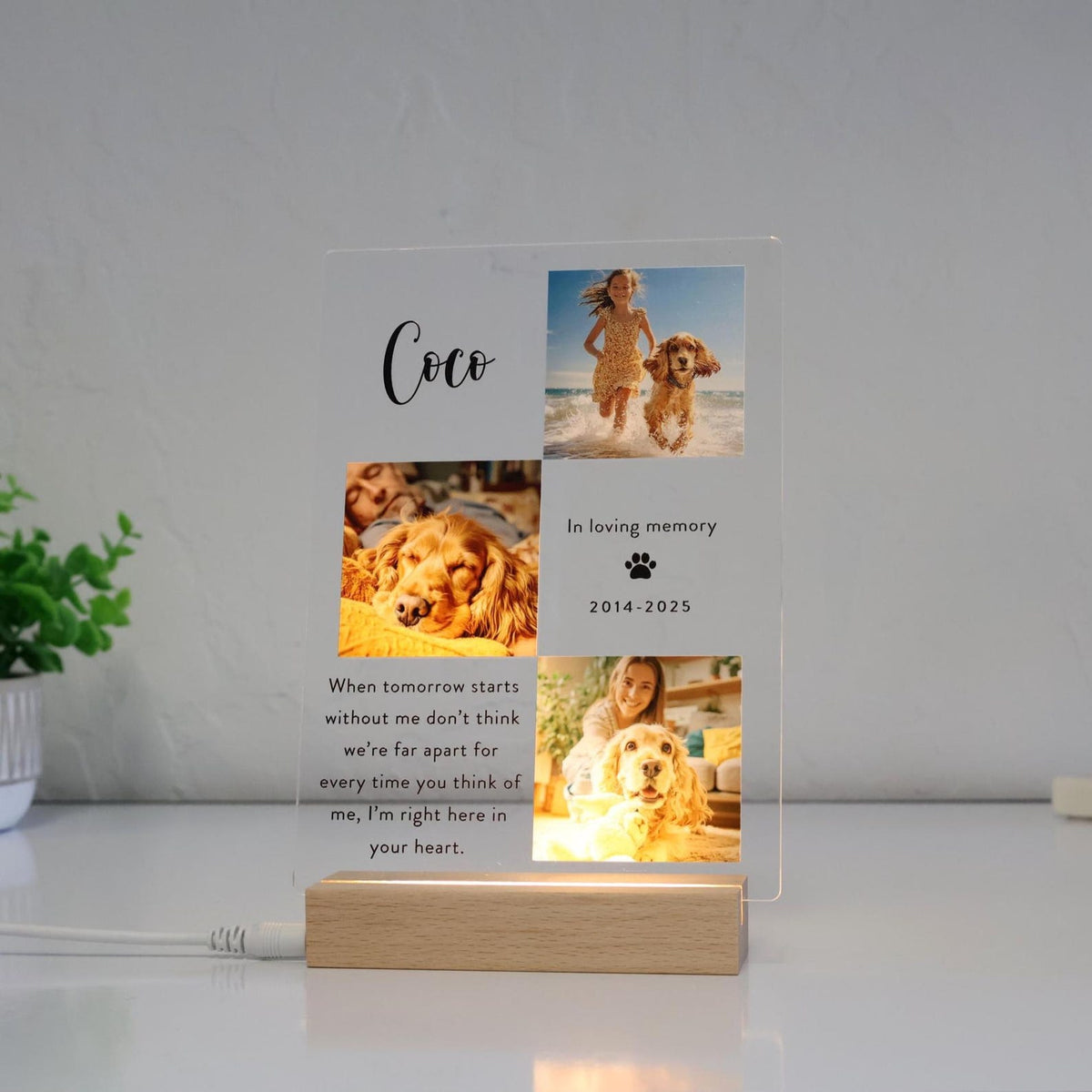 Personalized Pet Memorial Photo Collage Plaque, 3 Photos — photo 4