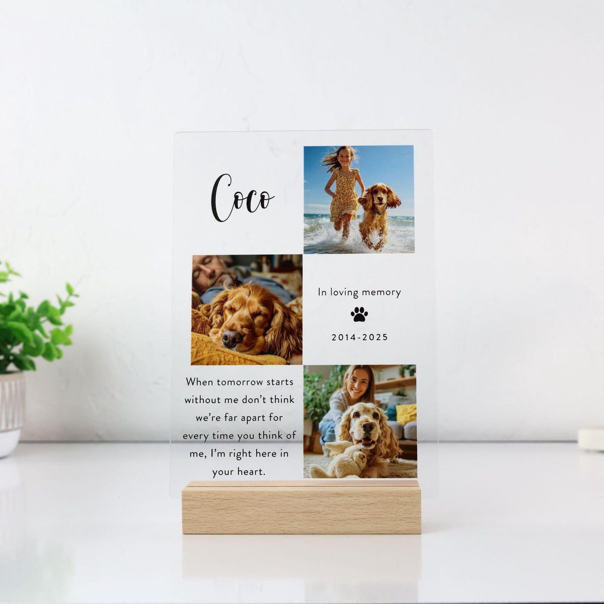 Personalized Pet Memorial Photo Collage Plaque, 3 Photos — photo 1