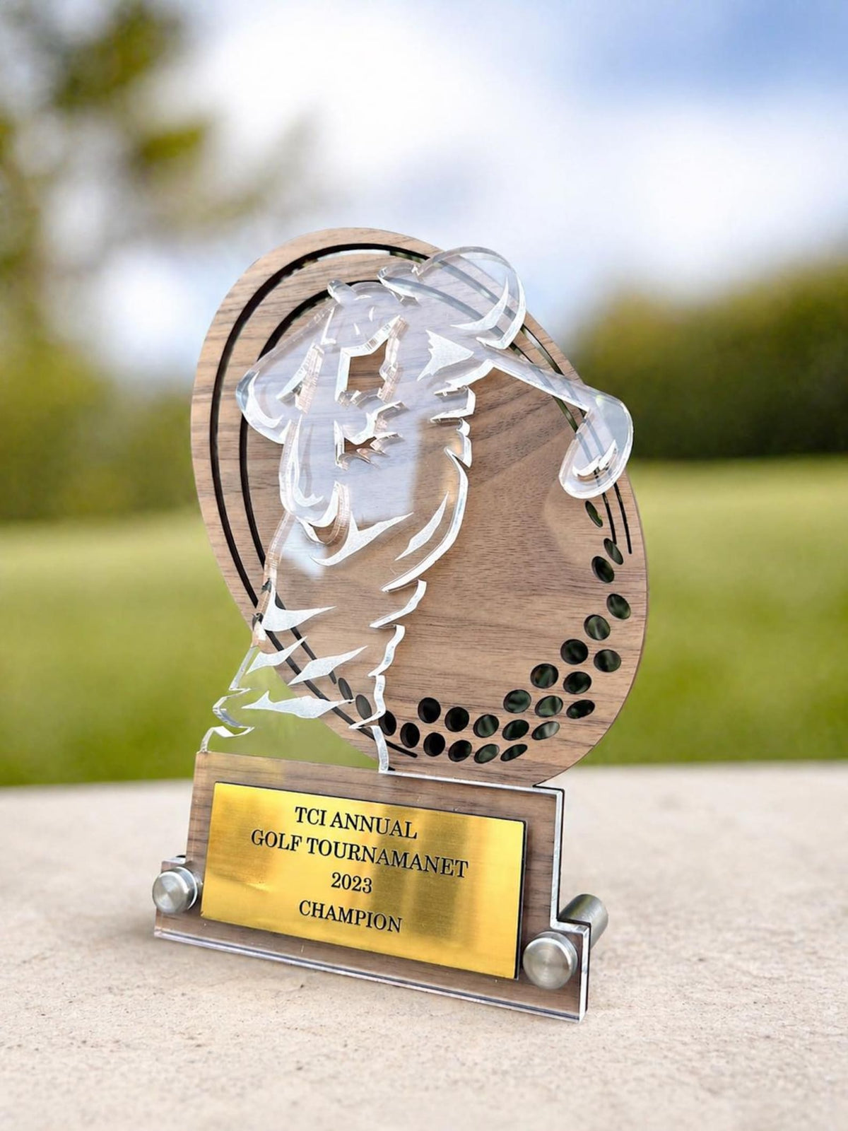 Custom Trophy for Golf Tournament and Event | Golf Award, Winner, Champion | Hole in one, Eagle, Albatross — photo 6