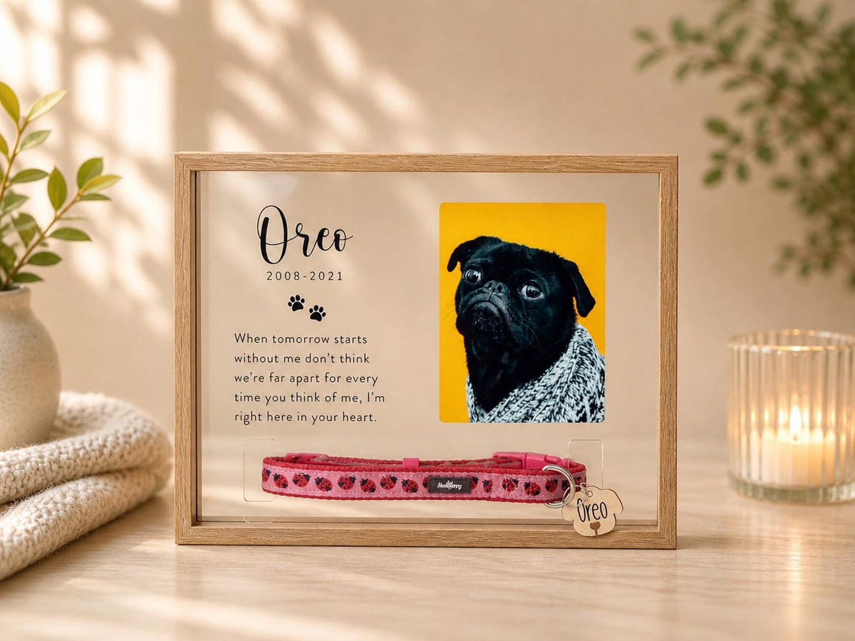 Personalized Pet Memorial Frame with Photo and Collar Holder — photo 2