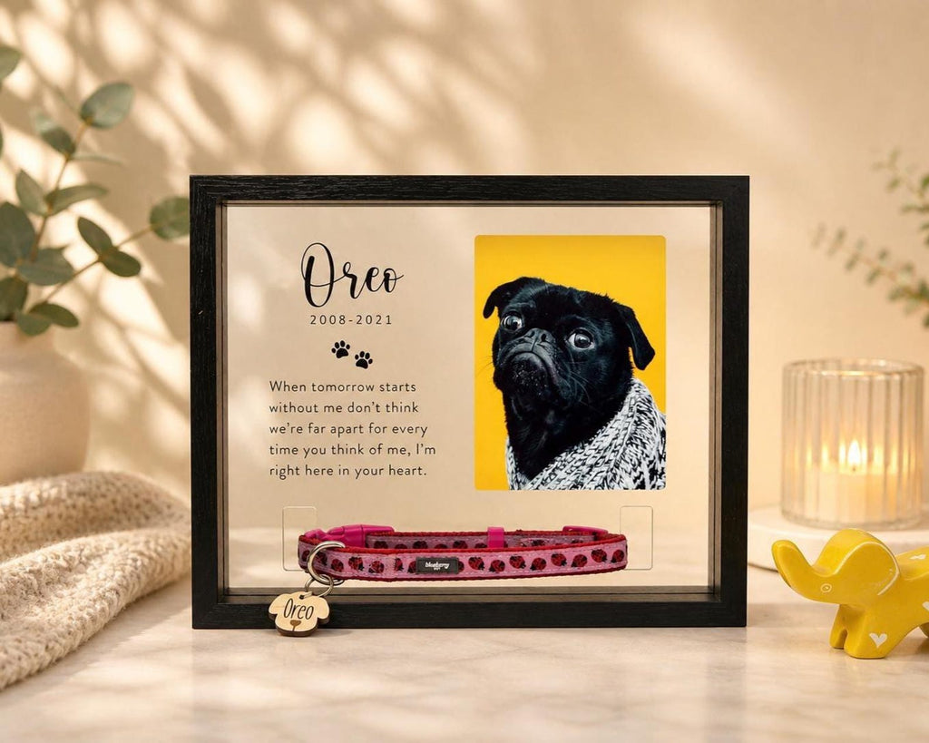 Personalized Pet Memorial Frame with Photo and Collar Holder — photo 1