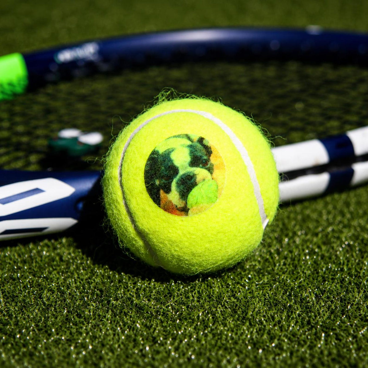 Custom Tennis Ball, Photo Tennis ball, Your Image or Text — photo 2