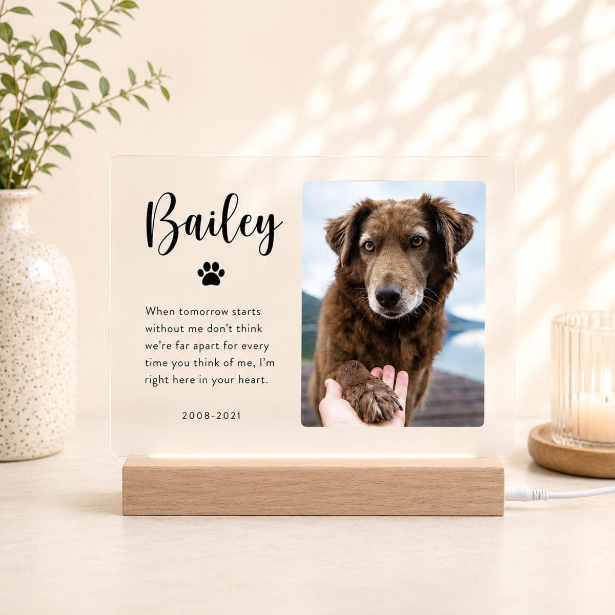 Personalized Pet Memorial Acrylic Plaque with Photo and Name