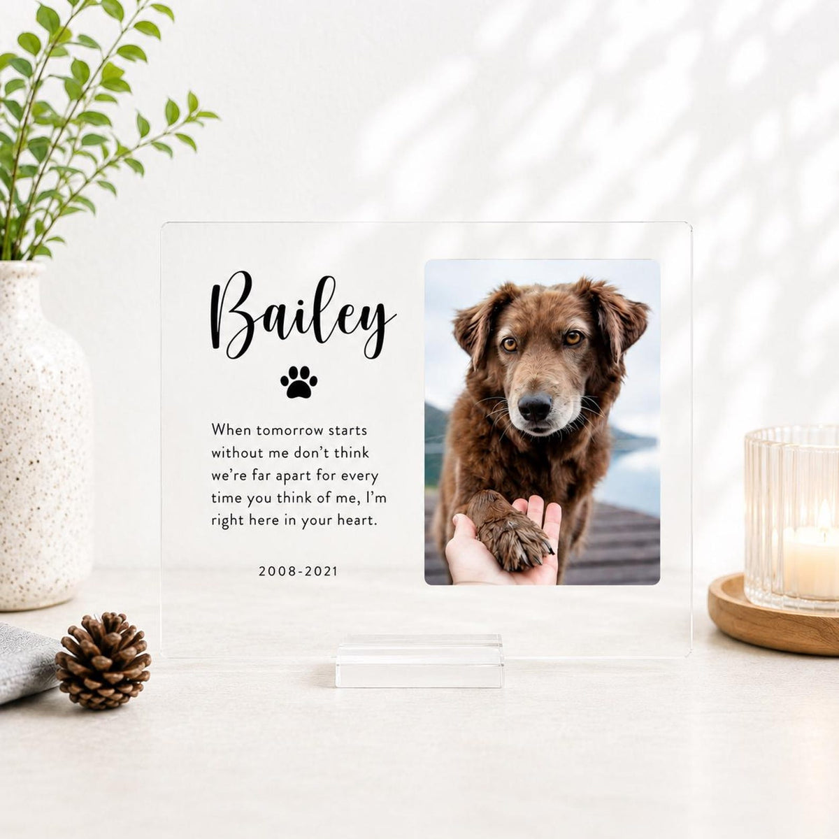 Personalized Pet Memorial Acrylic Plaque with Photo and Name